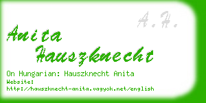 anita hauszknecht business card